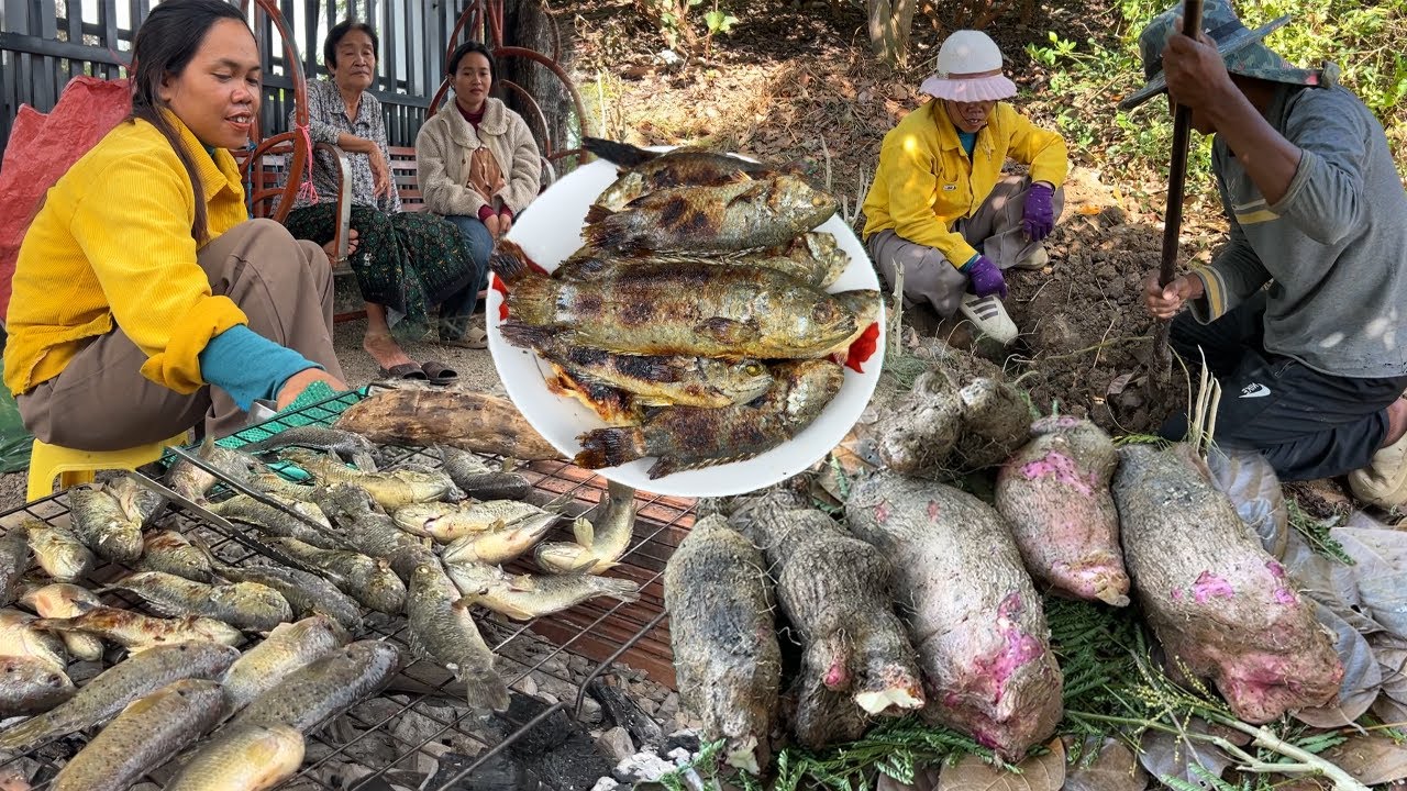 មើមធំល្អណាស់ដំឡុងកៃប៉ឹង អាំងត្រីក្រាញ់ខ្លាញ់ល្អ សាច់ផ្អែមរសជាតិឆ្ងាញ់