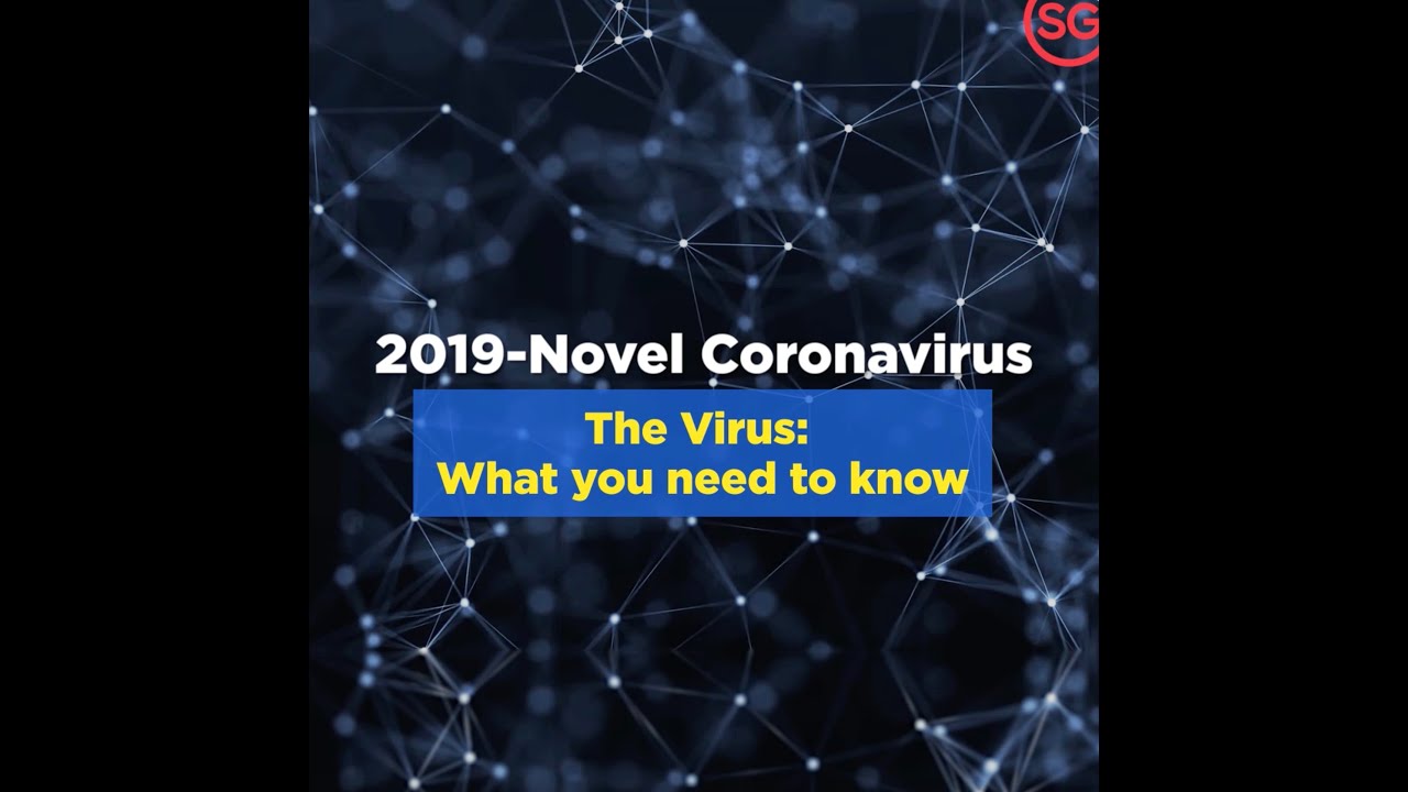 COVID-19 (Coronavirus Disease 2019): What You Need to Know