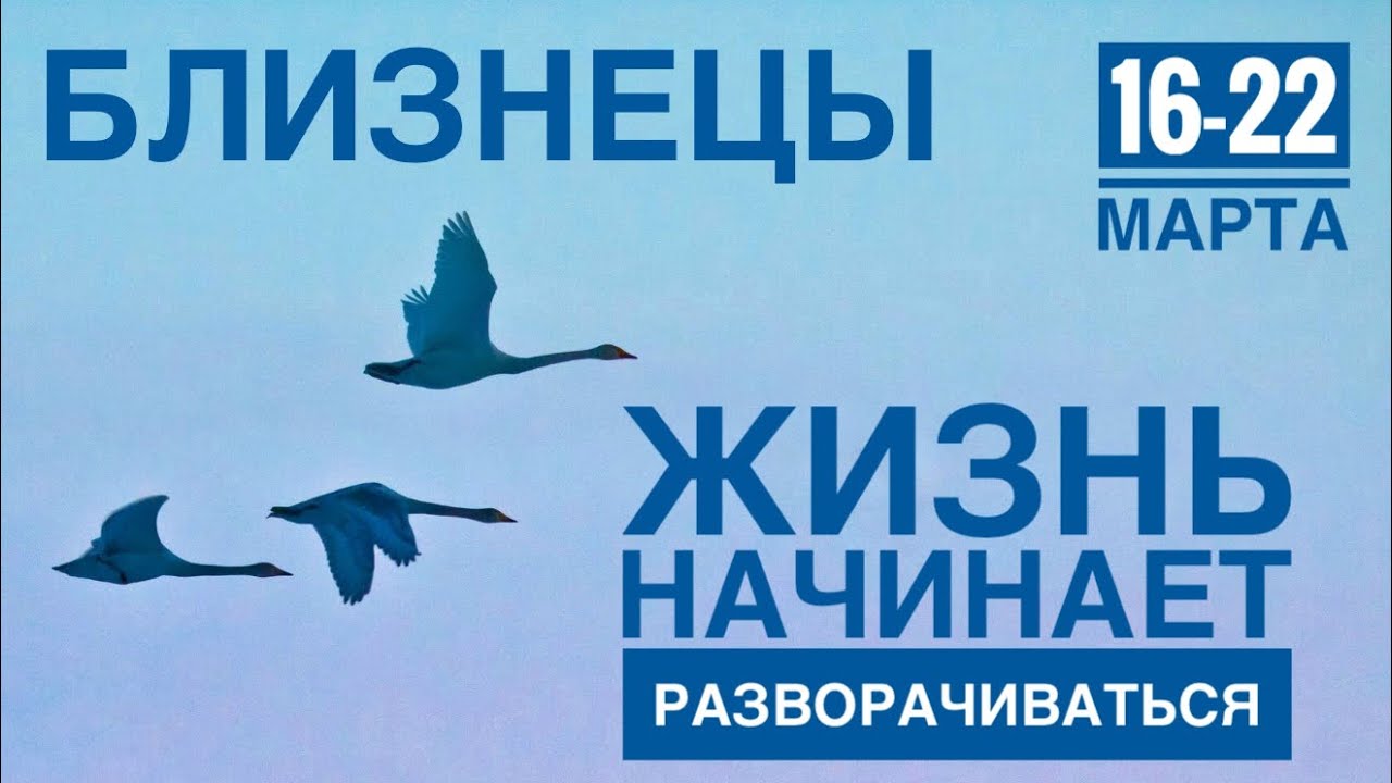 Близнецы ♊️ Развороты Jupiter и Mercury запускают перемены — прогноз на 16–22 марта