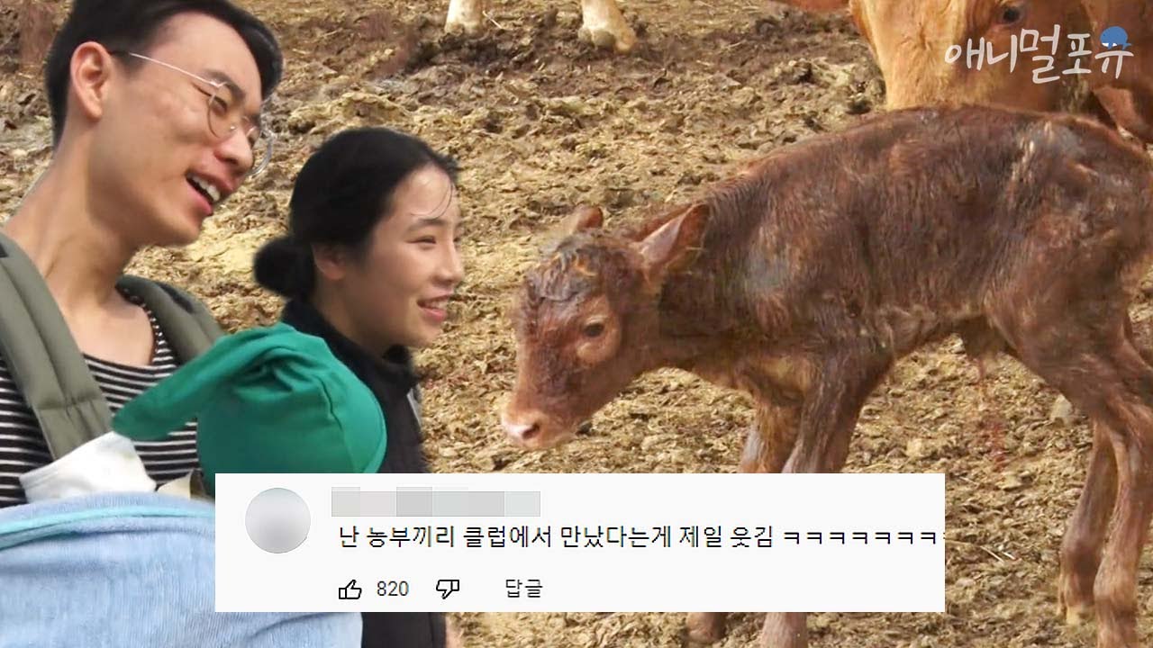 [풀버전] 소 100마리에 논 3000평?! 소 키우면서 사는 98년생 동갑부부 🐮｜동갑내기 영농일기｜KBS 인간극장 방송