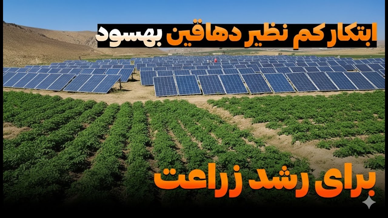 زمین های خشک بهسود با ابتکار دهقانان سرسبز شد!