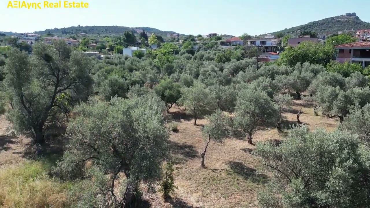 ΑΦΡΑΤΙ, Οικοπεδο 1.326 τ.μ., εντός σχεδίου πόλεως, άρτιο και οικοδομήσιμο, τιμή 30.000€, κωδ. 3936