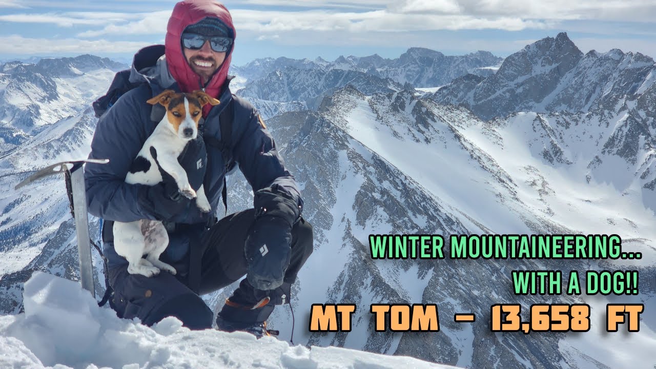Mt. Tom Winter Camp and Summit - Van Life California