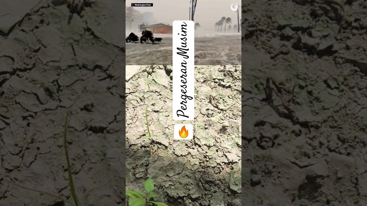 Pergeseran Musim #beritaterkini #nature #shortvideo #shortsviral