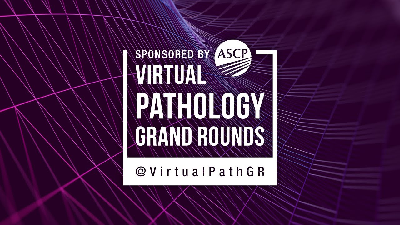 VPGR: Renal Pathology Made Easy