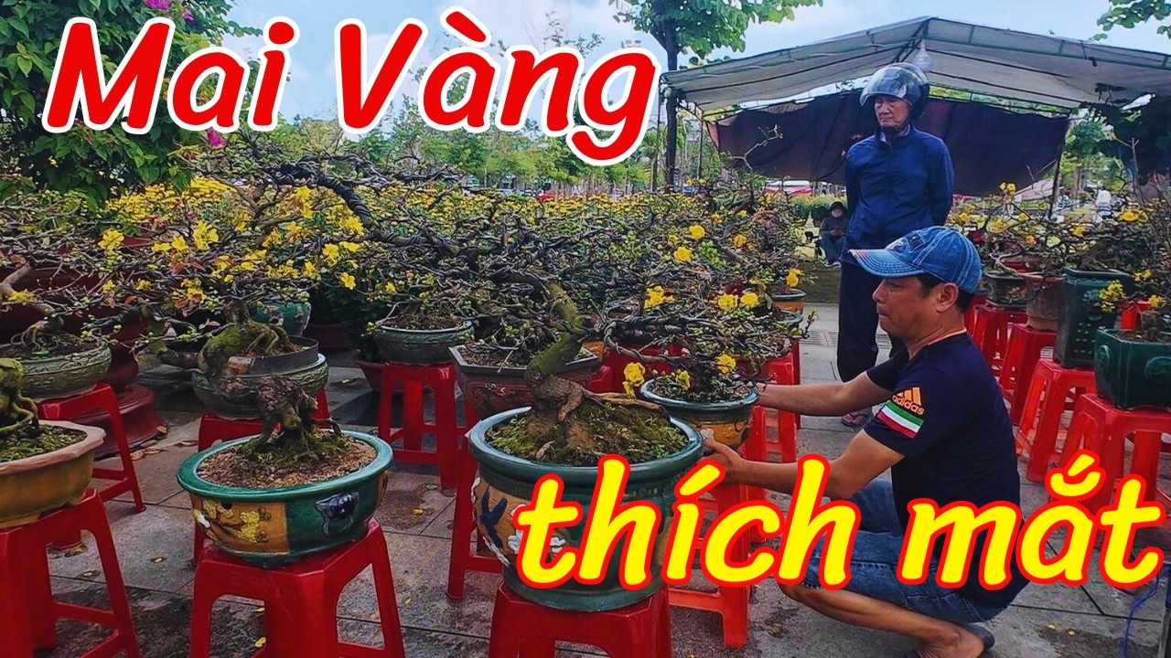 Dạo chợ hoa Tết Quy Nhơn đường Lê Duẩn #Tet