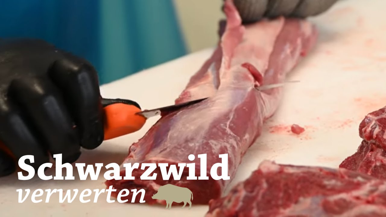Wildschwein zerlegen: Rücken küchenfertig machen | Saujagd | Drückjagd | Wildfleisch | Jungjäger