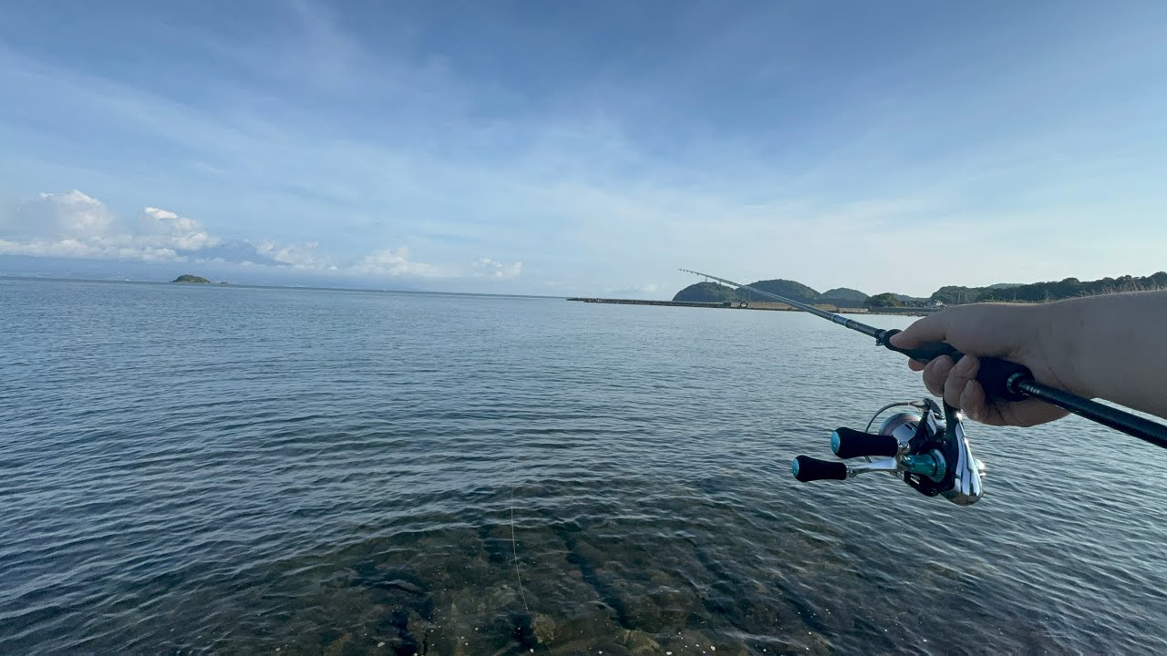 【熊本】釣り初心者がお気に入りポイントでまさかの高級魚を釣りました！【天草】