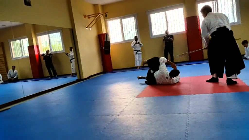 Aikido seminar in Spain (Zaragoza)