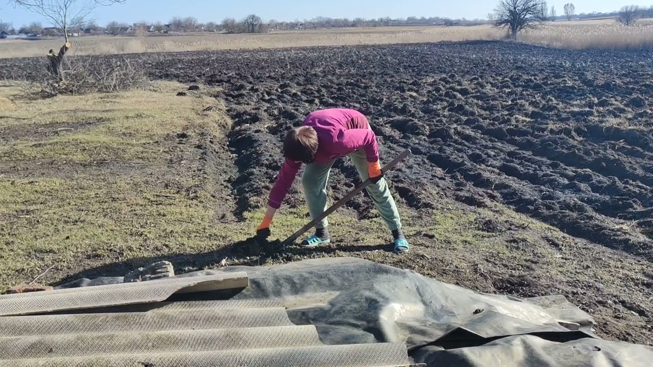 Губиниха / Сегодня очень насыщенный день... /