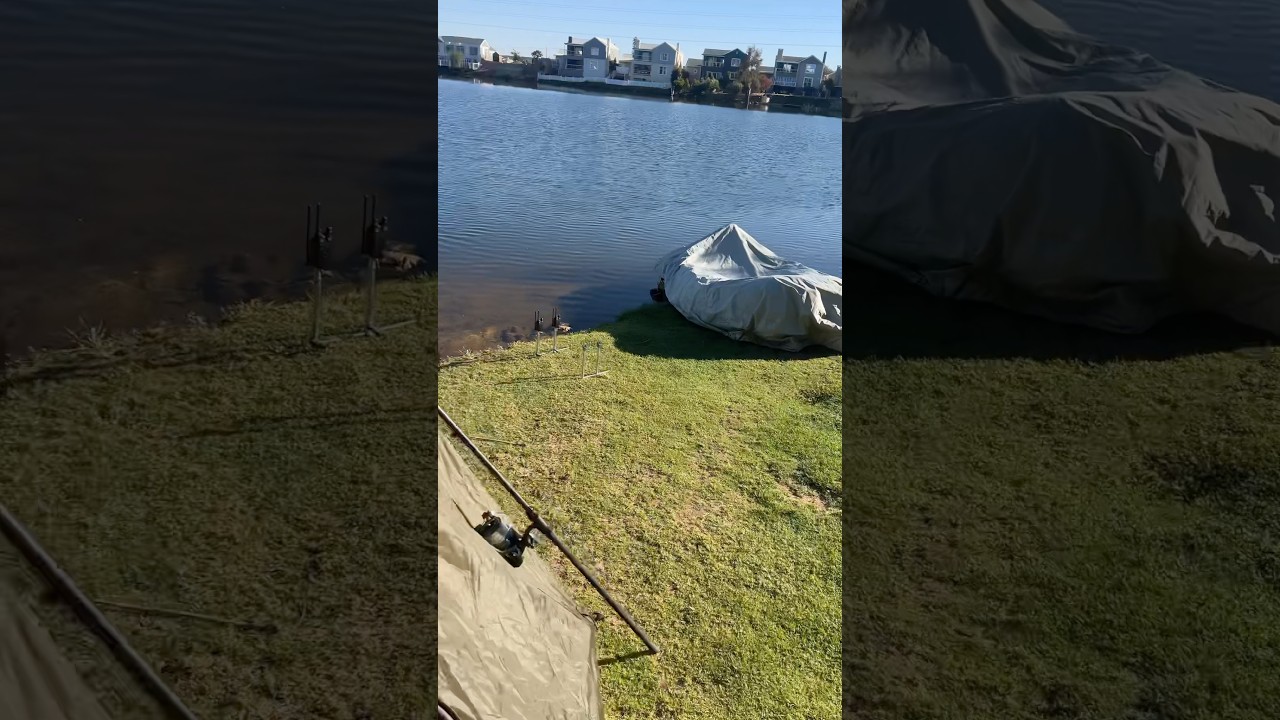 Carp fishing | MUST WATCH | CARP FISHING SOUTH AFRICA