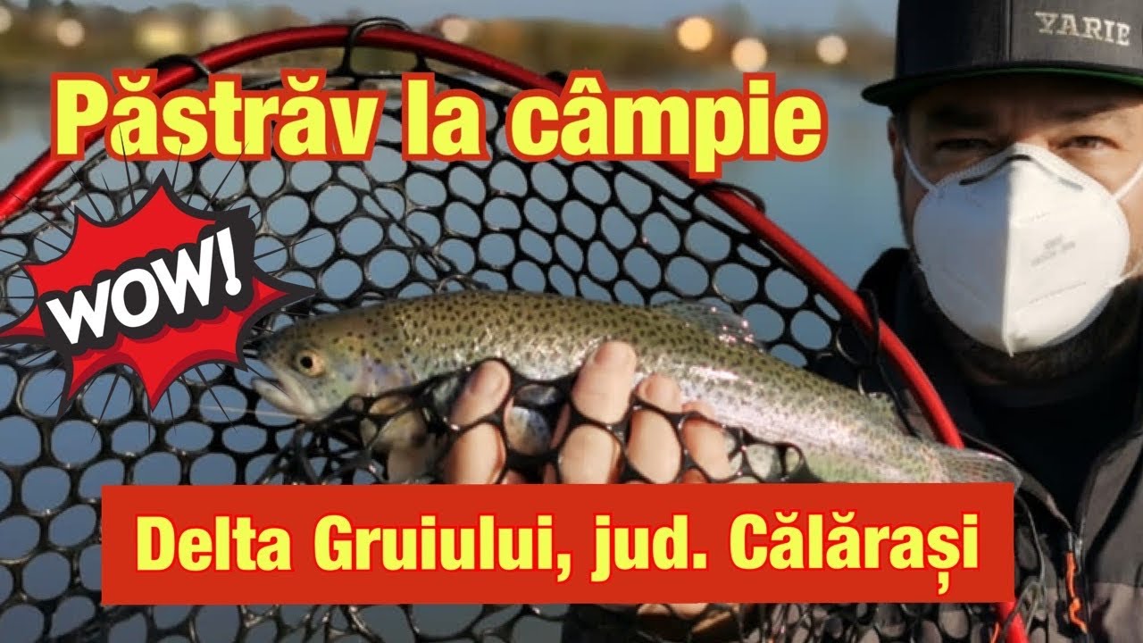 Spinning la pastrav curcubeu in Delta Gruiului