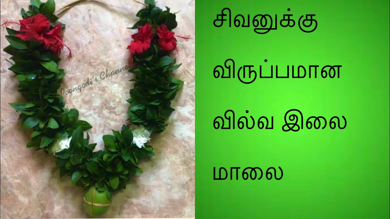 சிவனுக்கு உகந்த வில்வ இலை மாலை கட்டுவது எப்படி? DIY Auspicious Vilva Leaf Garland for Lord Shiva -1