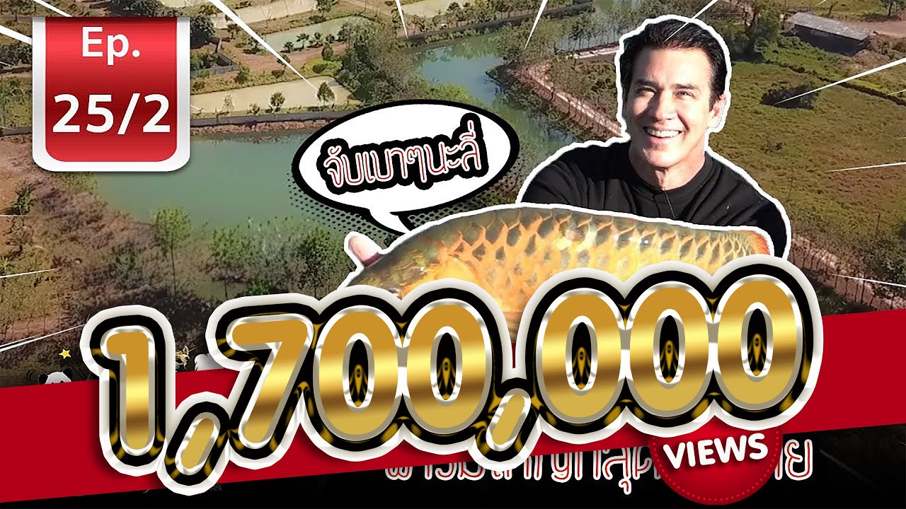 Thailand's Largest Arowana farm ตีอวนปลามังกรฟาร์มใหญ่ที่สุดในไทย - เพื่อนรักสัตว์เอ้ย l EP.25/2