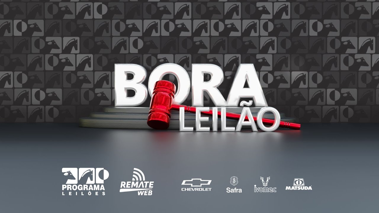 BORA LEILÃO: programe seus investimentos!