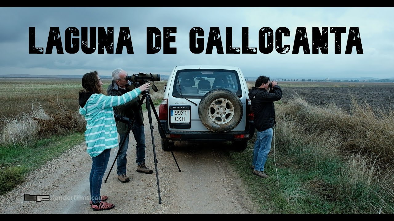 Laguna de Gallocanta