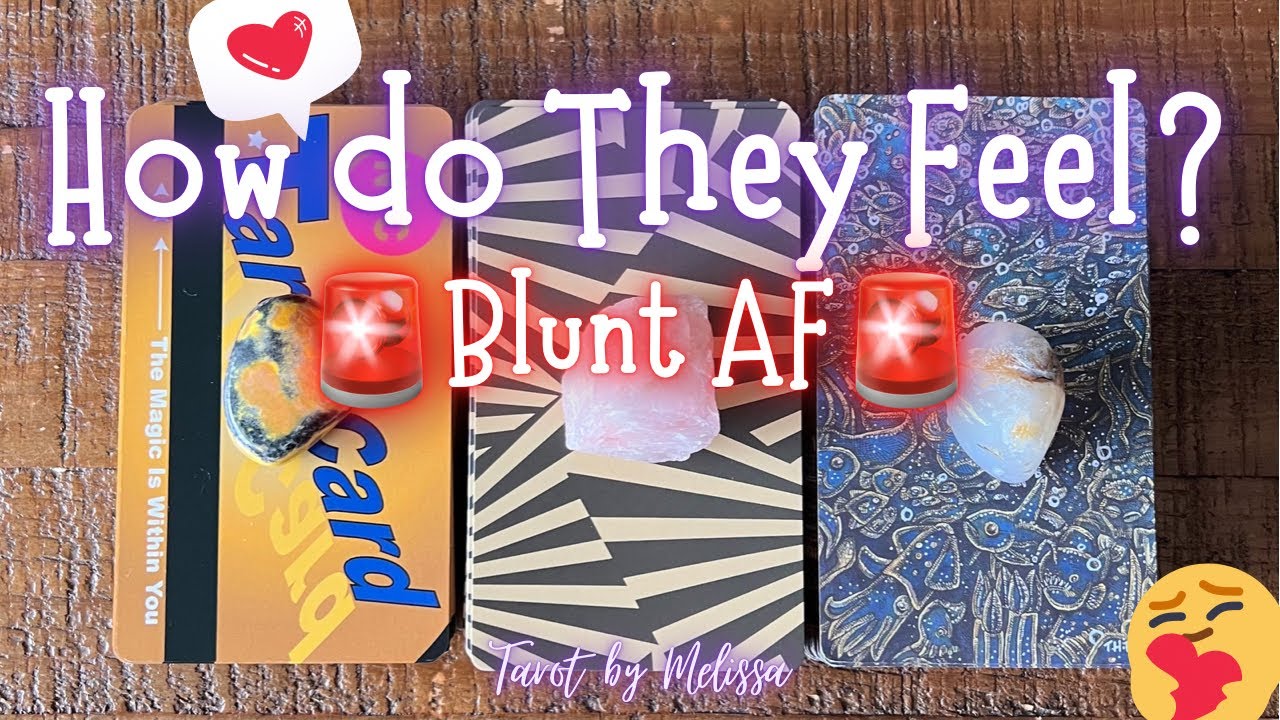 Pick-a-Card: How do They Feel? BLUNT AF✨
