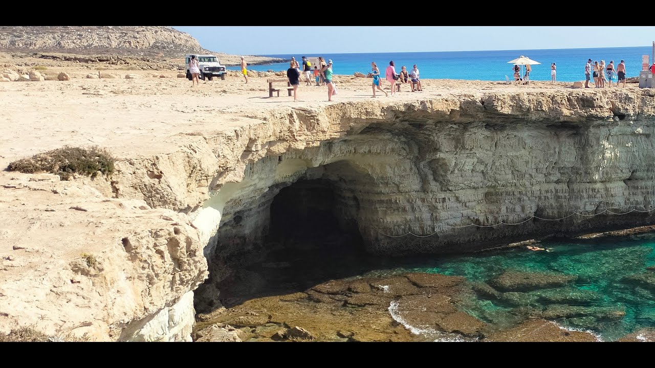 Cypr Protaras , Ayia Napa , Żółwie