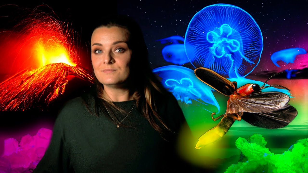 Les lumières cachées de la nature 