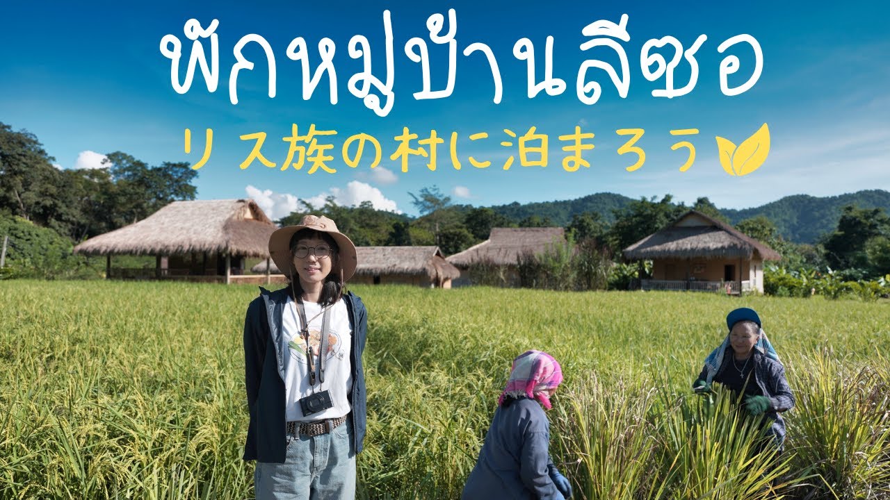 สาวญี่ปุ่นพักที่หมู่บ้านลีซอ🍃ทุ่งข้าวที่สวยงามและน้องหมาน่ารัก｜เชียงใหม่