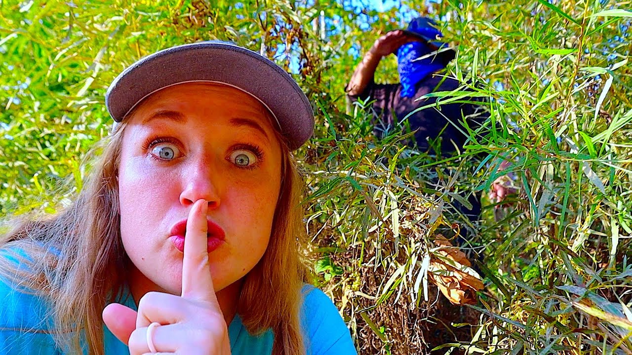 HIDING FROM THE BANDITS!
