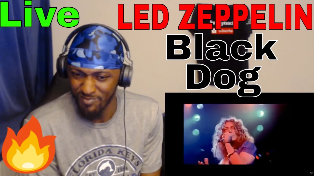 FIRST TIME REACTING to LED ZEPPELIN - BLACK DOG