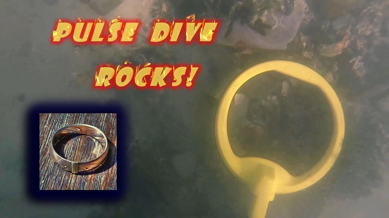 PULSE DIVE 8 INCH COIL FINDS GOLD