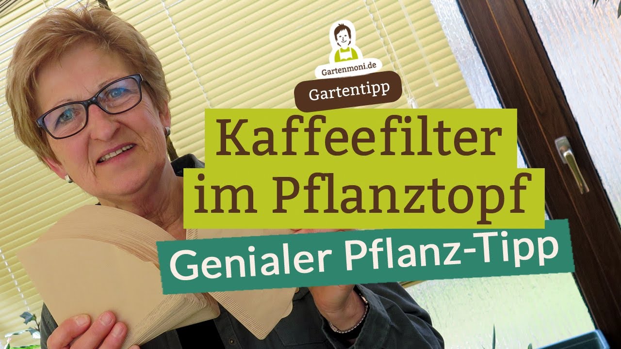 Pflanz-Tipp mit Mehrwert: Kaffeefilter im Pflanztopf