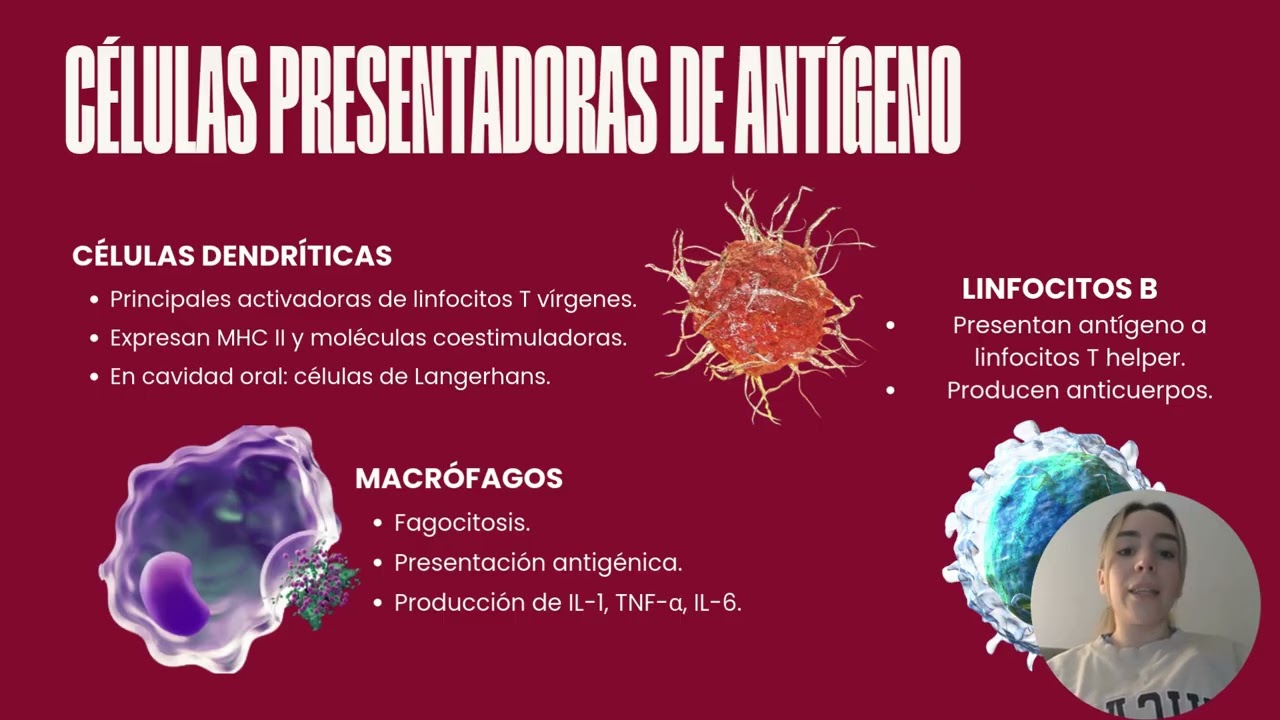 Elementos y mecanismos que participan en la respuesta inmune adquirida