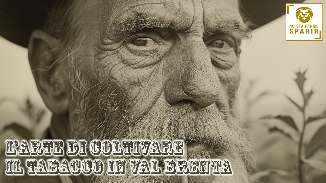 Alla scoperta dell'antica arte di coltivare e lavorare il tabacco in ValBrenta