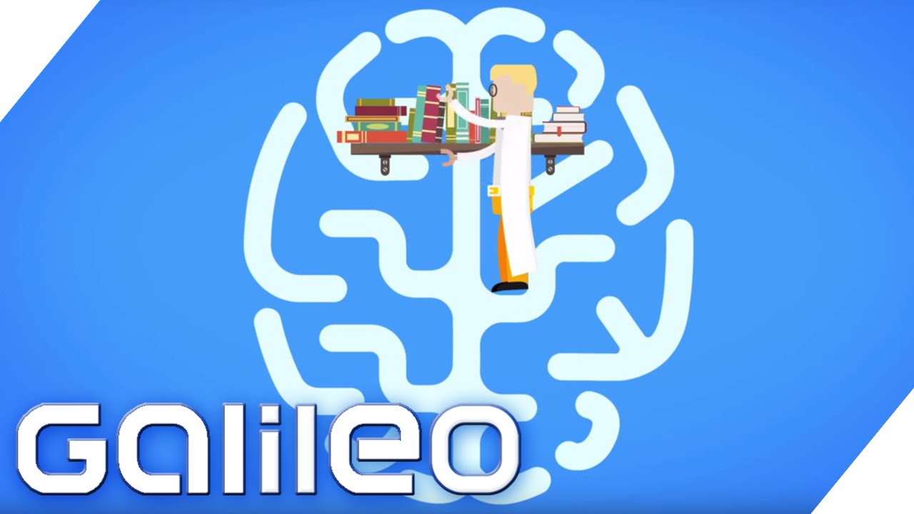 Selbstexperiment: Pimp my IQ | Galileo | ProSieben
