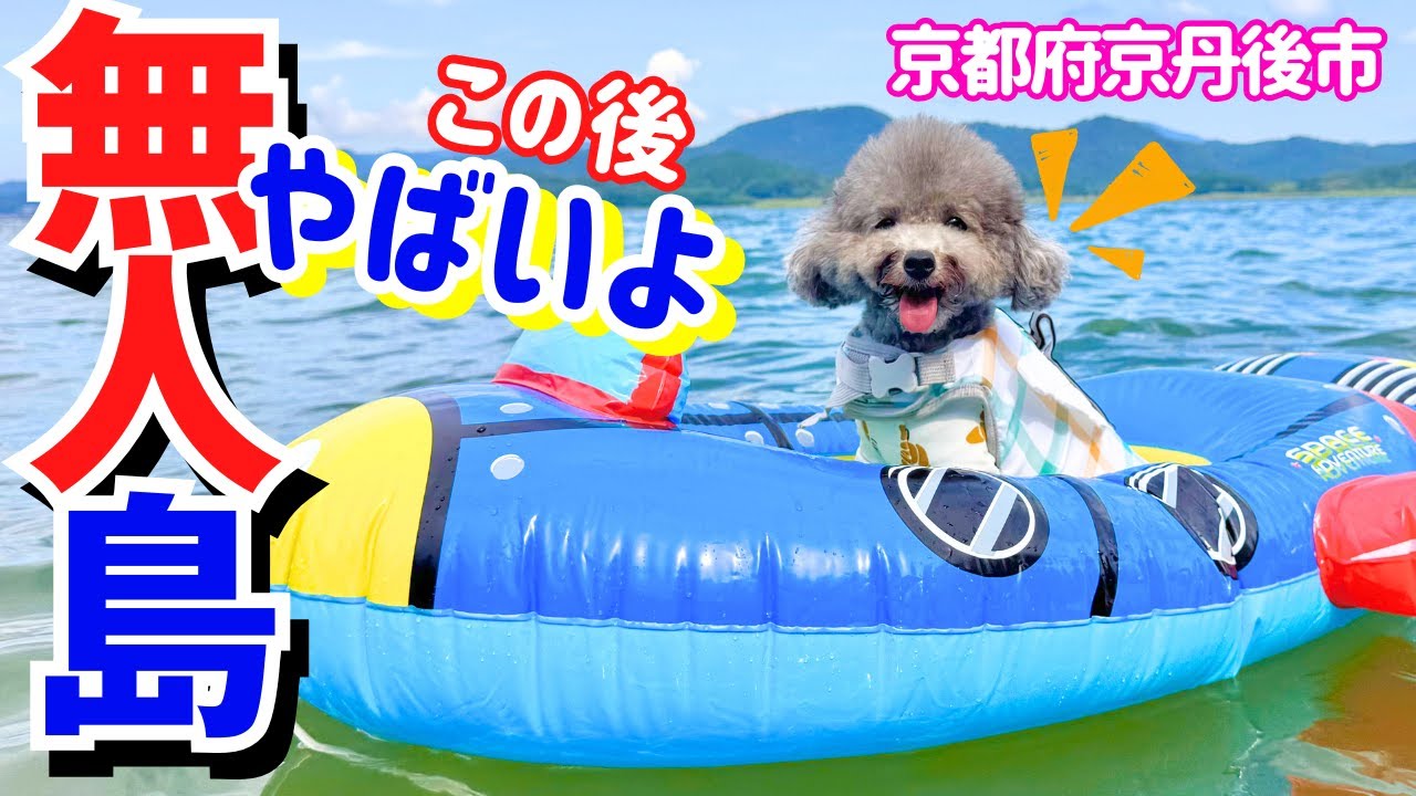 【犬と泊まれる宿】無人島に行ったら大変な事に‼海水浴も！【バーべキューガーデン無人島】京都府京丹後
