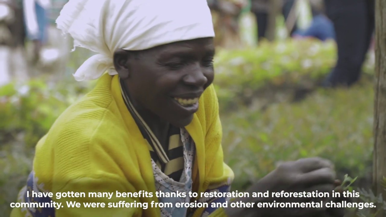 Rwandan Women Transforming Their Farms With Trees: WRI + One Tree Planted