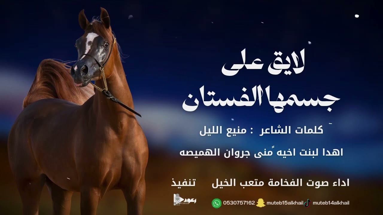 شيلة لايق على جسمها الفستان آداء صوت الفخامه متعب الخيل جديد2025 حصرياً