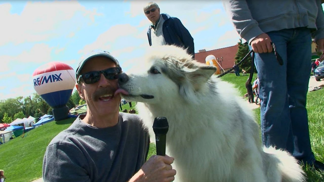 320 | Great Lakes Bay Region - Full Episode | Under the Radar Michigan