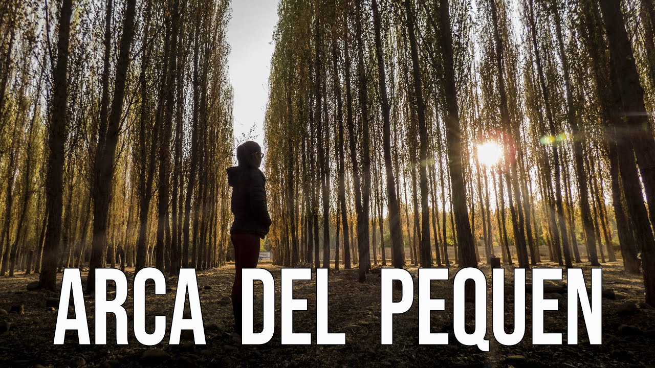 ¡¡Me enfrento a  UN AVESTRUZ en Arca del Pequen!!! Coinco - O'Higgins