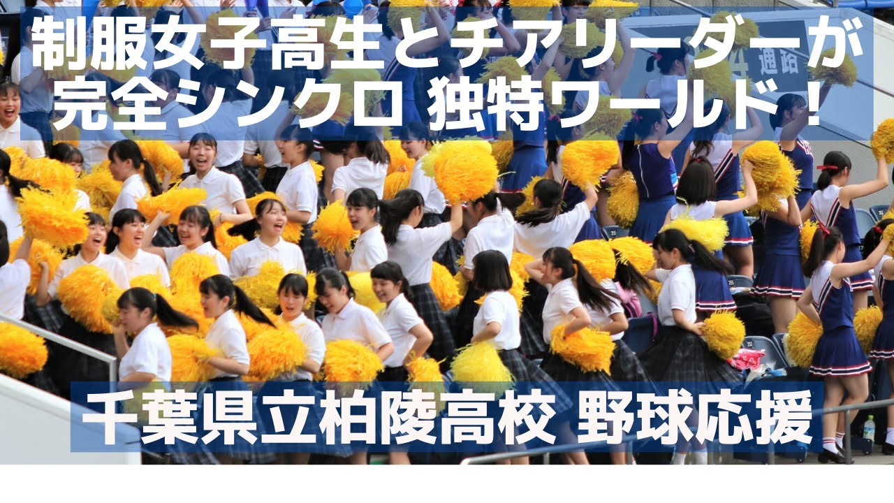 柏陵高校応援 制服女子高生とチアリーダーが完全シンクロしている独特ワールド！（千葉県高校野球応援シリーズ）