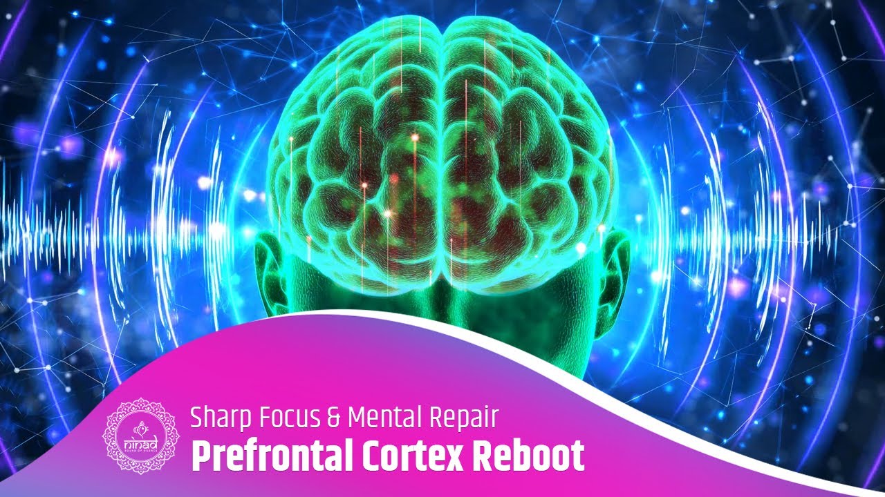 Prefrontal Cortex Reboot | Binaural Waves for Sharp Focus, Calm Thinking & Mental Repair