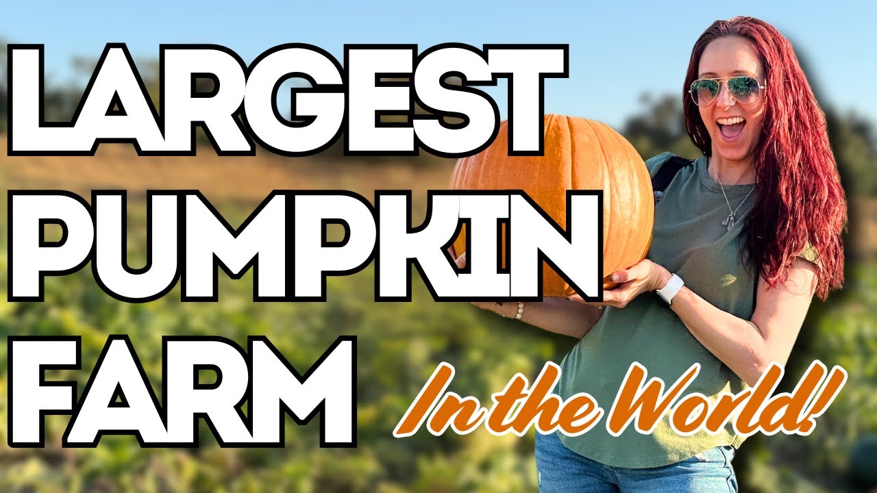 Bishop's Pumpkin Farm 2025 | Pumpkin Patch 