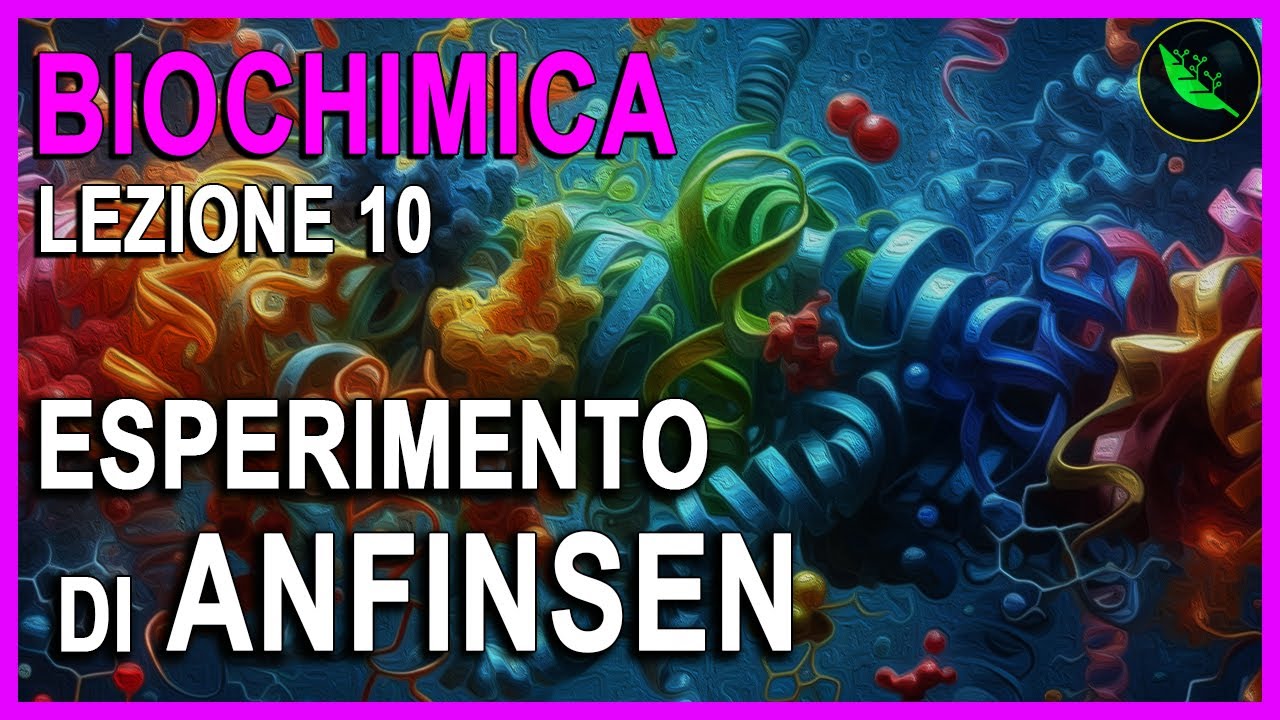 Esperimento di ANFINSEN , STRUTTURA QUATERNARIA delle proteine e CHAPERONINE -Lezione 10 biochimica