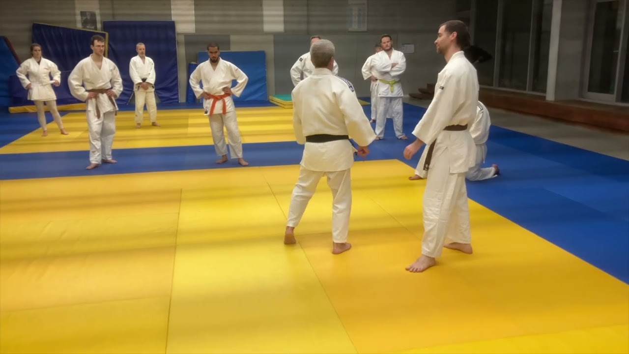🥋 La technique de frappe Yoko-Geri avec amenée au sol en mode pas-à-pas  🥋