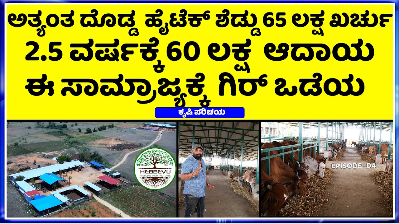 EP-04 gyr cattle ,Sahiwal ,Rathi  Breed || Gir Cow Farming Successfully || Next level Hebbevu Farms