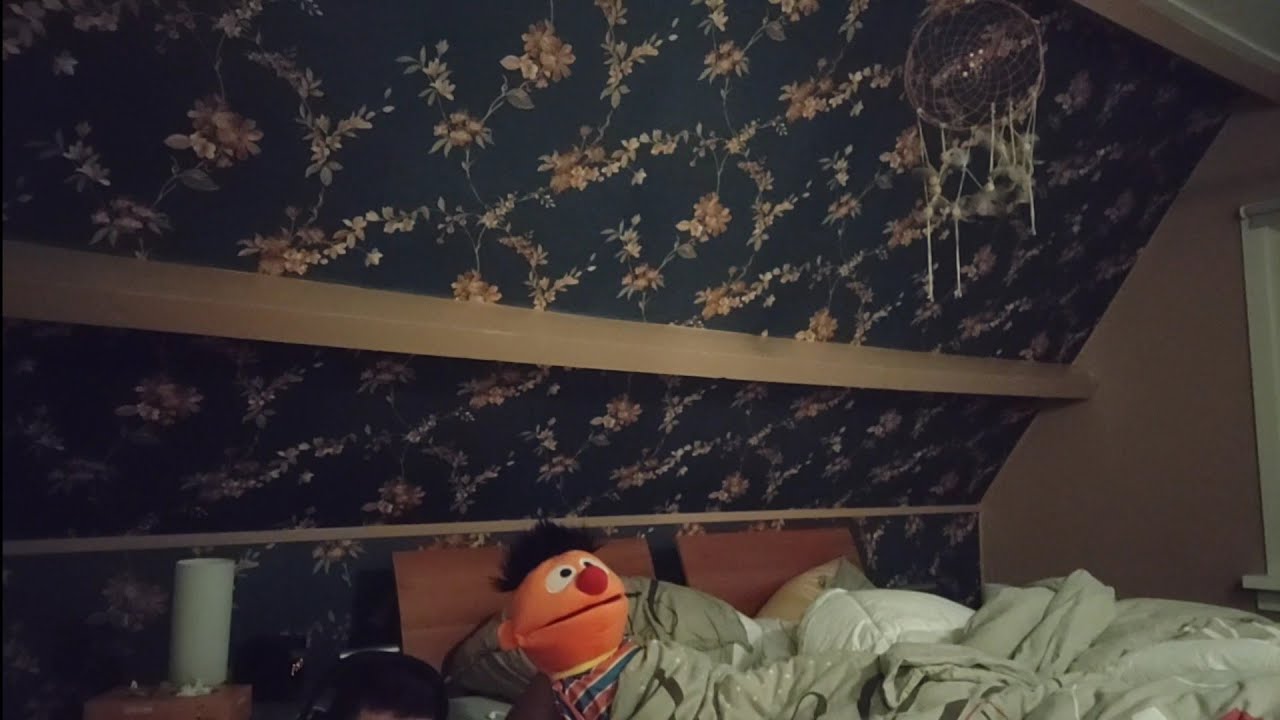 Mijn Ernie replica handpop