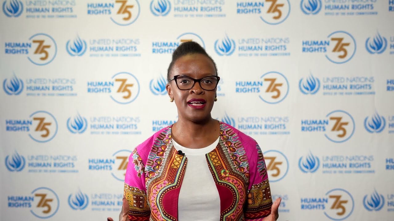 UDHR Articles 4 - 6: Abigail Noko, Regional Representative, OHCHR Southern Africa
