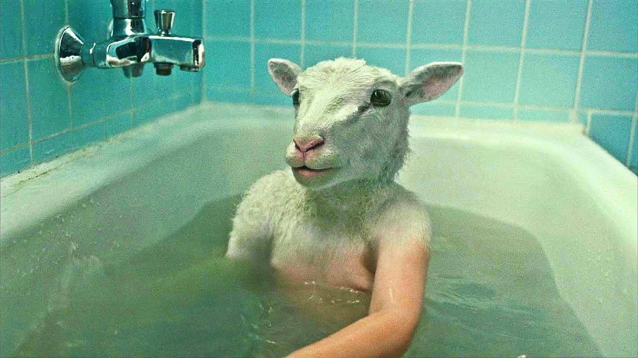 خروف بيتولد نصه انسان وبينتقم من صحاب المزرعة اللي حبــسوه ! ملخص فيلم Lamb
