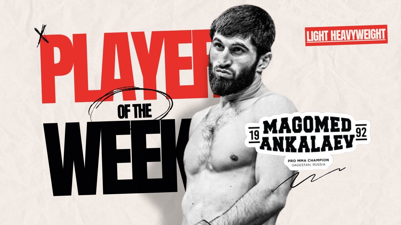 Magomed Ankalaev - Highlights Resume [HD]