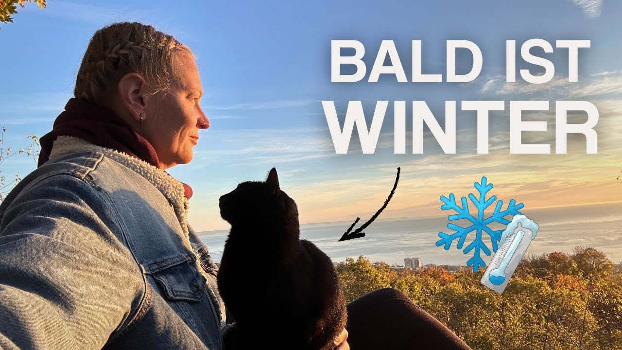 RETTUNG: Teures DIY Katzenhaus für den Winter - Überraschung Vanlife Bulgarien - Werkstatt? VLOG 107