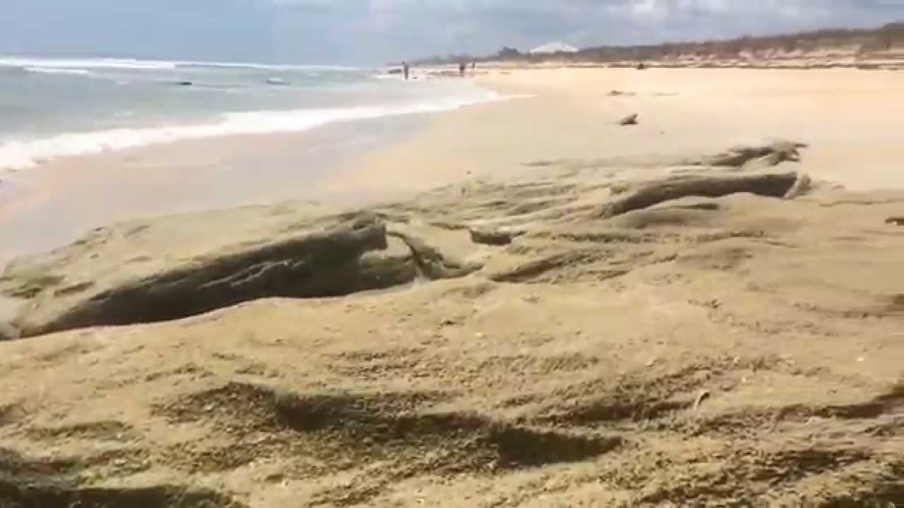NGSS 4-ESS2-1 Earth's Systems: Weathering & Erosion
