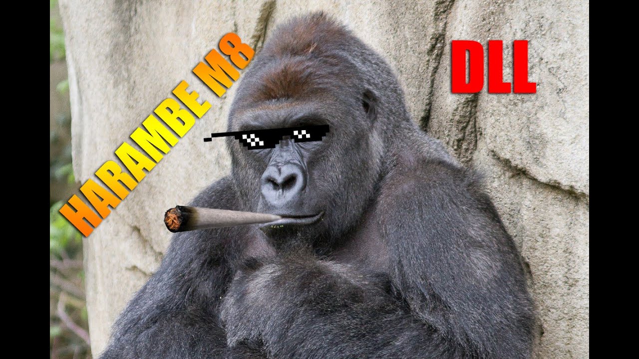 harambe.dll