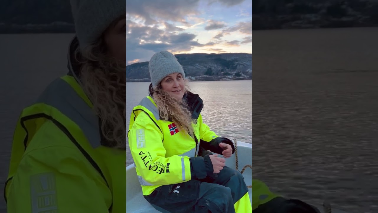 Hvaldimir Update from Norway 12.12.23 | OneWhale.org